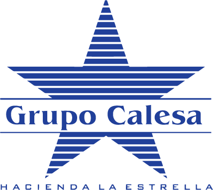 Calesa